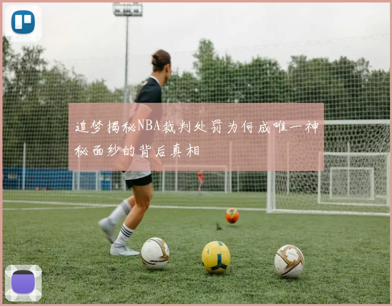 追梦揭秘NBA裁判处罚为何成唯一神秘面纱的背后真相