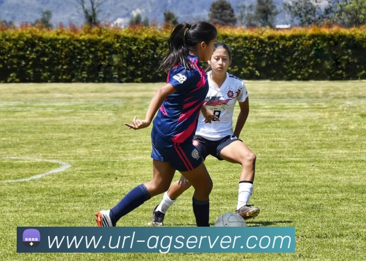 AG娱乐APP 封面图